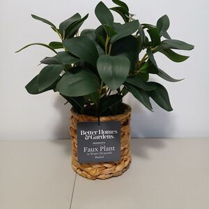 Better Homes & Gardens Natural Brown Boho Decorative Faux Peperomia Plant 12"